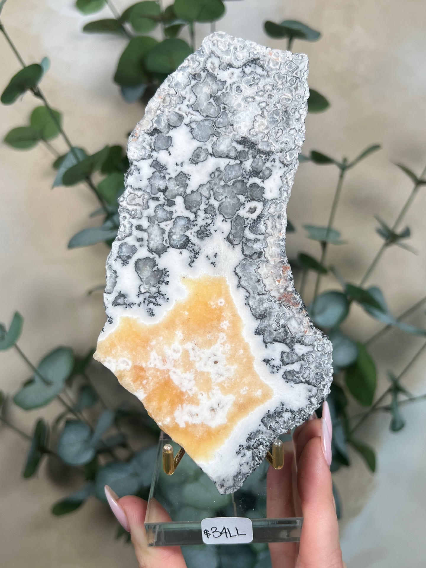 Zebra Calcite Slabs with Stands (4 options)